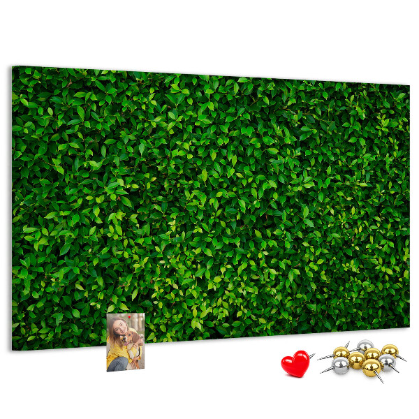 Kurken prikbord met groene muur en bladerrijk plantenpatroon