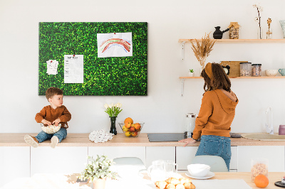 Kurken prikbord met groene muur en bladerrijk plantenpatroon