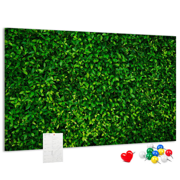 Kurken prikbord met groene muur en bladerrijk plantenpatroon