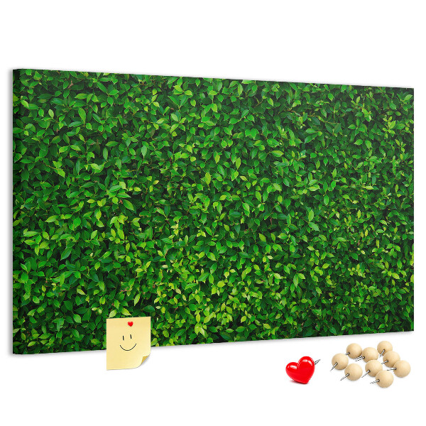 Kurken prikbord met groene muur en bladerrijk plantenpatroon