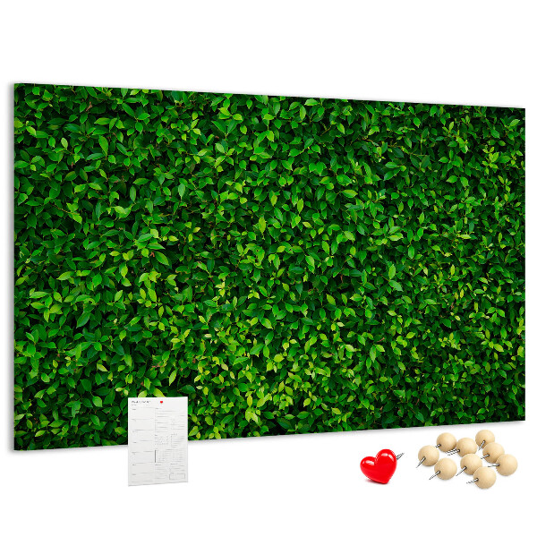 Kurken prikbord met groene muur en bladerrijk plantenpatroon