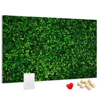 Kurken prikbord met groene muur en bladerrijk plantenpatroon