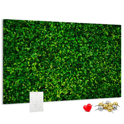 Kurken prikbord met groene muur en bladerrijk plantenpatroon