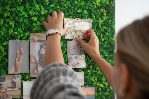 Kurken prikbord met groene muur en bladerrijk plantenpatroon