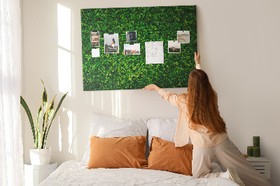 Kurken prikbord met groene muur en bladerrijk plantenpatroon
