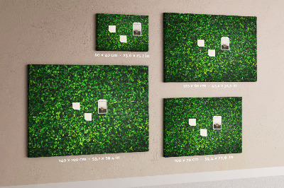 Kurken prikbord met groene muur en bladerrijk plantenpatroon