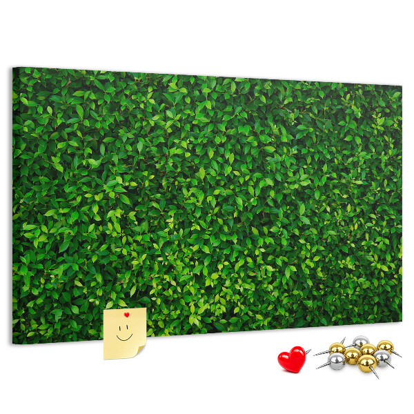 Kurken prikbord met groene muur en bladerrijk plantenpatroon