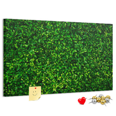Kurken prikbord met groene muur en bladerrijk plantenpatroon
