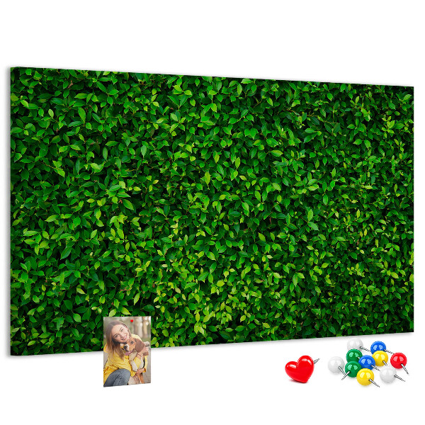 Kurken prikbord met groene muur en bladerrijk plantenpatroon