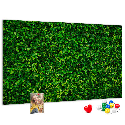 Kurken prikbord met groene muur en bladerrijk plantenpatroon