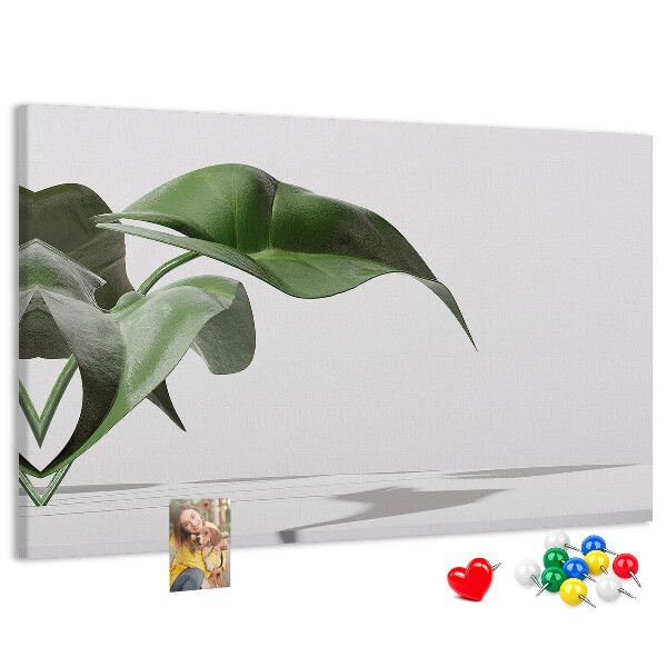 Kurkbord fijne blaadjes op een minimalistische achtergrond