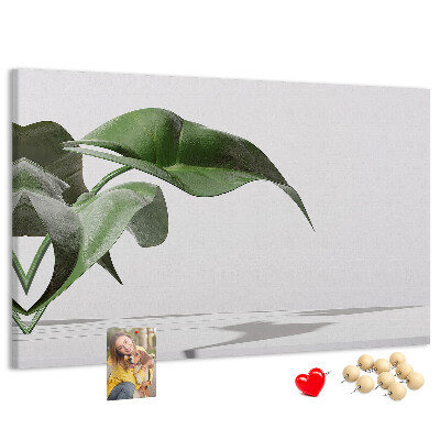 Kurkbord fijne blaadjes op een minimalistische achtergrond