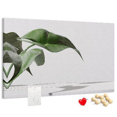 Kurkbord fijne blaadjes op een minimalistische achtergrond