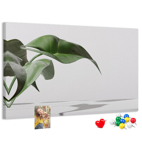 Kurkbord fijne blaadjes op een minimalistische achtergrond