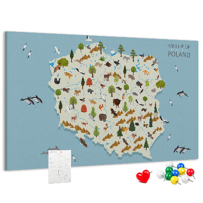 Kurkbord met een kleurrijke kaart van de Poolse fauna