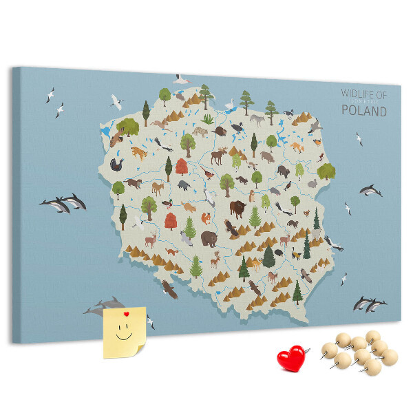 Kurkbord met een kleurrijke kaart van de Poolse fauna