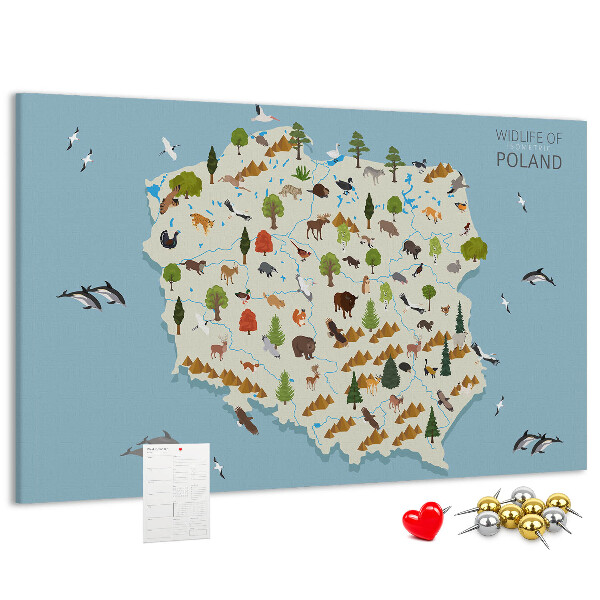 Kurkbord met een kleurrijke kaart van de Poolse fauna