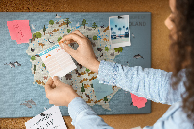 Kurkbord met een kleurrijke kaart van de Poolse fauna
