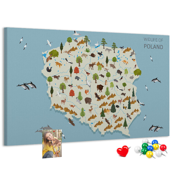 Kurkbord met een kleurrijke kaart van de Poolse fauna