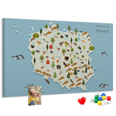 Kurkbord met een kleurrijke kaart van de Poolse fauna