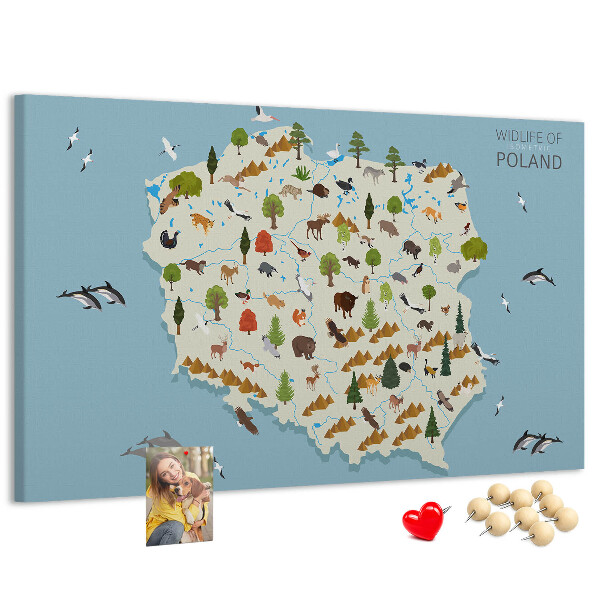 Kurkbord met een kleurrijke kaart van de Poolse fauna