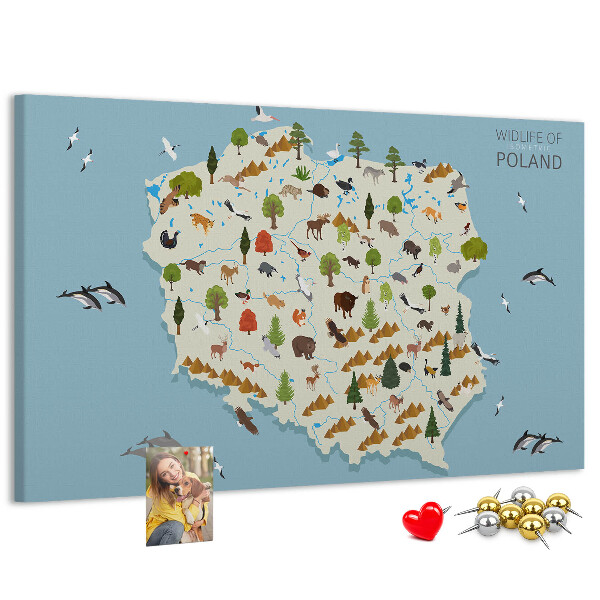 Kurkbord met een kleurrijke kaart van de Poolse fauna