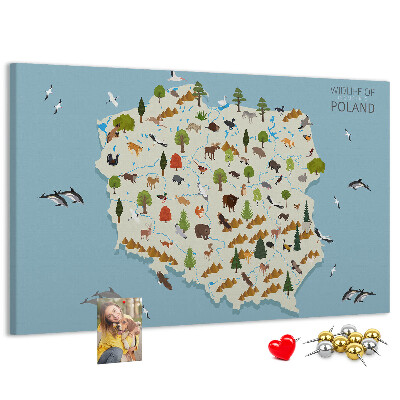 Kurkbord met een kleurrijke kaart van de Poolse fauna