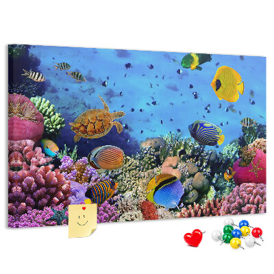 Prikbord met een tropische wereld vol onderwaterkleuren en vissen