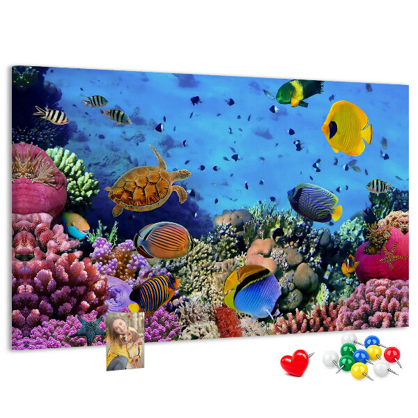 Prikbord met een tropische wereld vol onderwaterkleuren en vissen