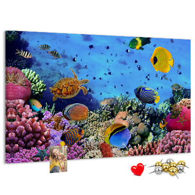 Prikbord met een tropische wereld vol onderwaterkleuren en vissen