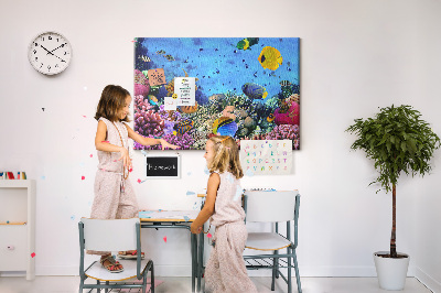 Prikbord met een tropische wereld vol onderwaterkleuren en vissen