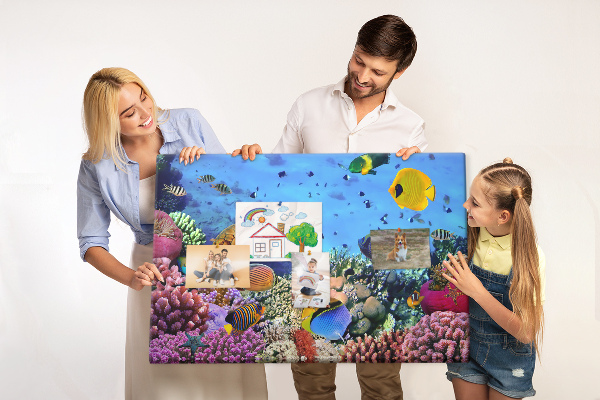 Prikbord met een tropische wereld vol onderwaterkleuren en vissen