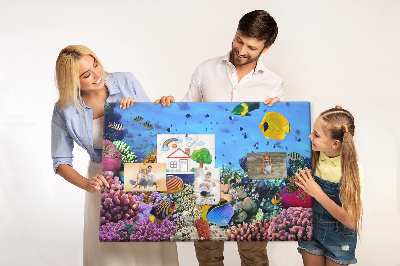 Prikbord met een tropische wereld vol onderwaterkleuren en vissen