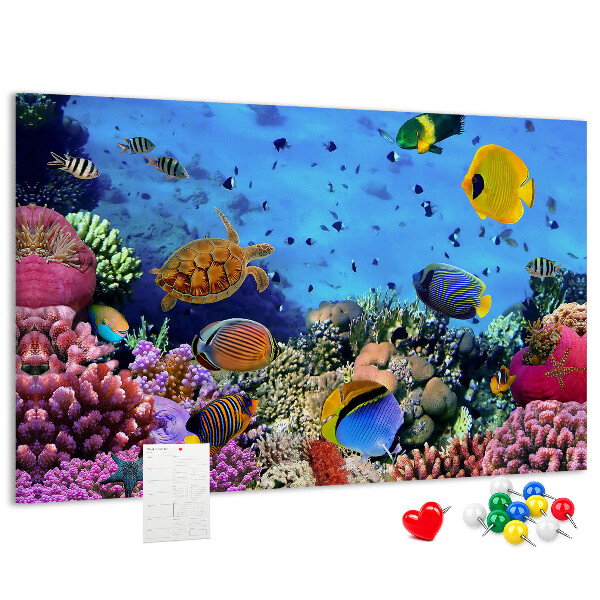 Prikbord met een tropische wereld vol onderwaterkleuren en vissen