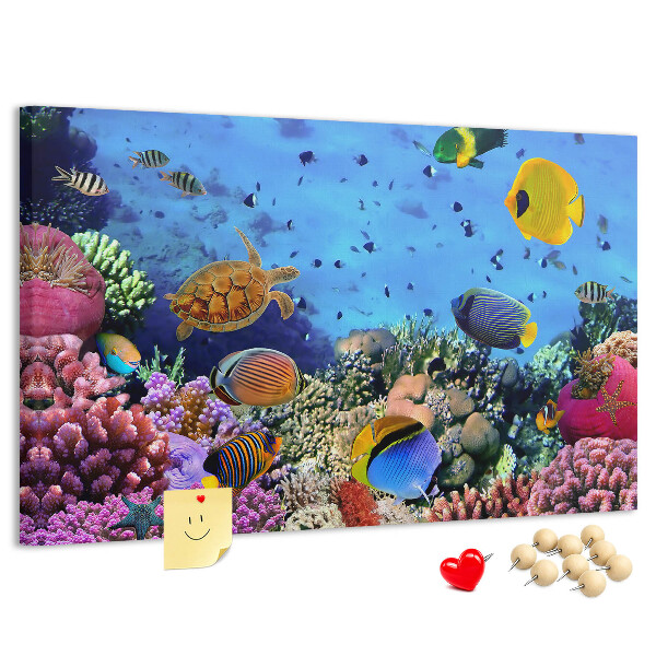 Prikbord met een tropische wereld vol onderwaterkleuren en vissen