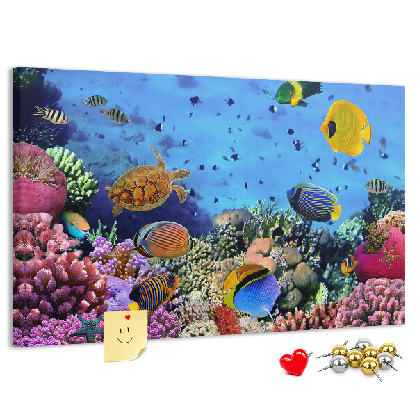 Prikbord met een tropische wereld vol onderwaterkleuren en vissen