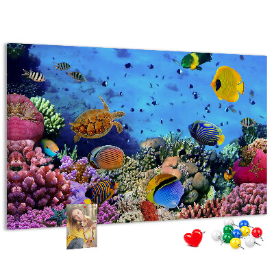 Prikbord met een tropische wereld vol onderwaterkleuren en vissen