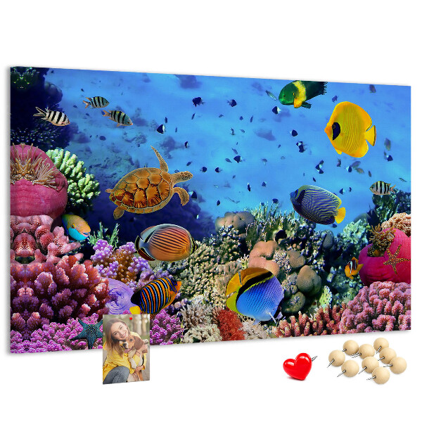 Prikbord met een tropische wereld vol onderwaterkleuren en vissen
