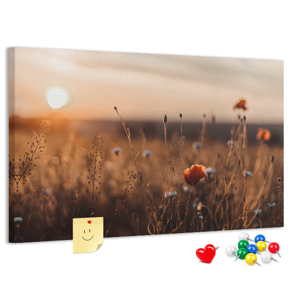 Kurkbord met een gouden klaprozenveld bij zonsondergang
