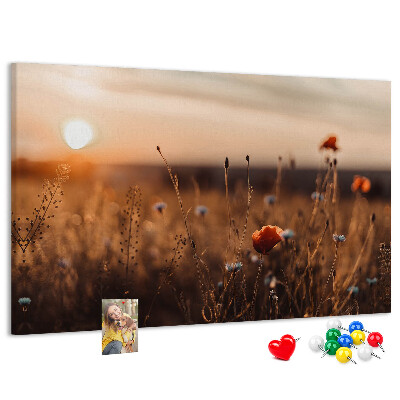 Kurkbord met een gouden klaprozenveld bij zonsondergang