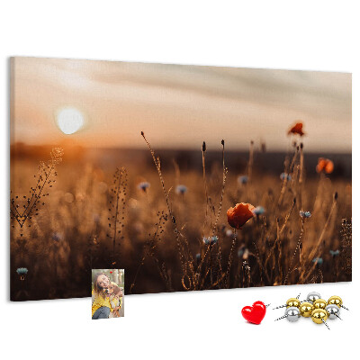 Kurkbord met een gouden klaprozenveld bij zonsondergang