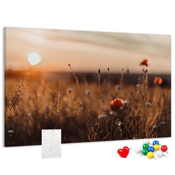 Kurkbord met een gouden klaprozenveld bij zonsondergang