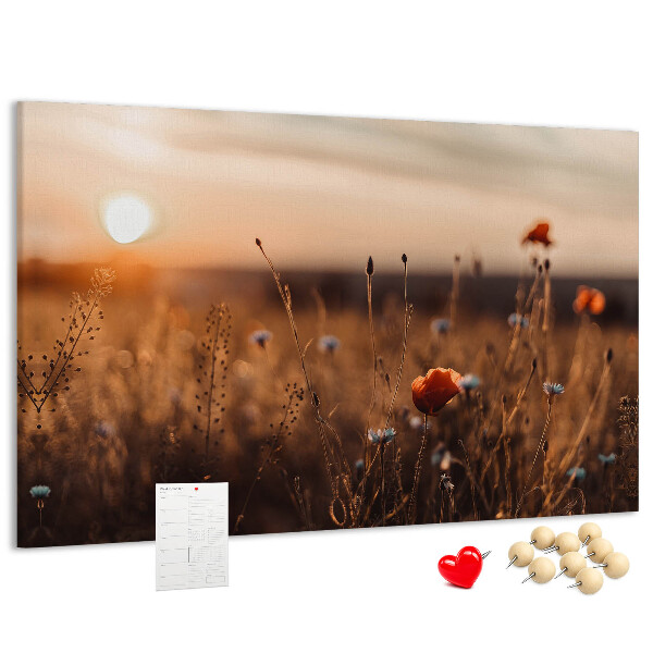 Kurkbord met een gouden klaprozenveld bij zonsondergang