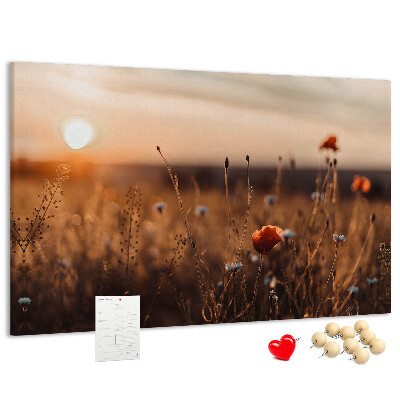 Kurkbord met een gouden klaprozenveld bij zonsondergang