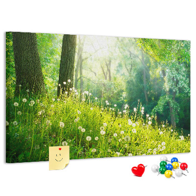 Kurk prikbord met een afbeelding van een groen bos met bloeiende paardenbloemen