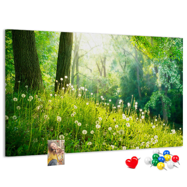 Kurk prikbord met een afbeelding van een groen bos met bloeiende paardenbloemen