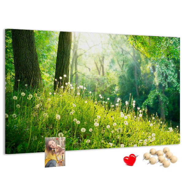 Kurk prikbord met een afbeelding van een groen bos met bloeiende paardenbloemen