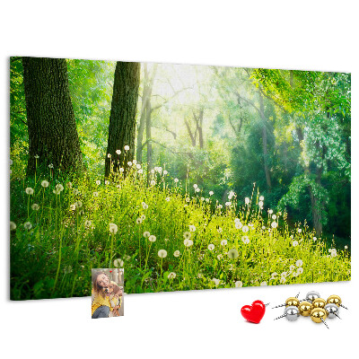 Kurk prikbord met een afbeelding van een groen bos met bloeiende paardenbloemen