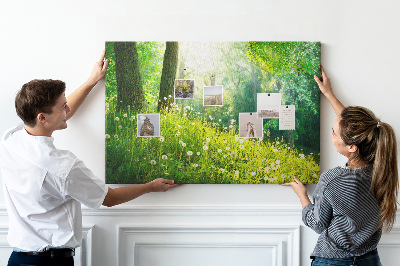 Kurk prikbord met een afbeelding van een groen bos met bloeiende paardenbloemen