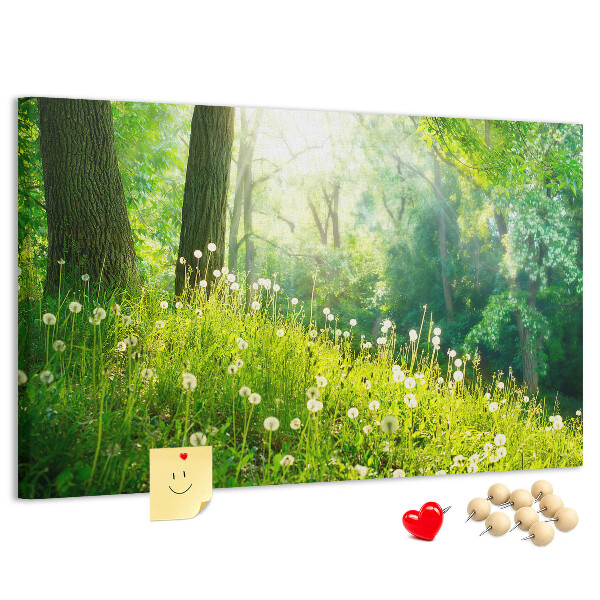 Kurk prikbord met een afbeelding van een groen bos met bloeiende paardenbloemen